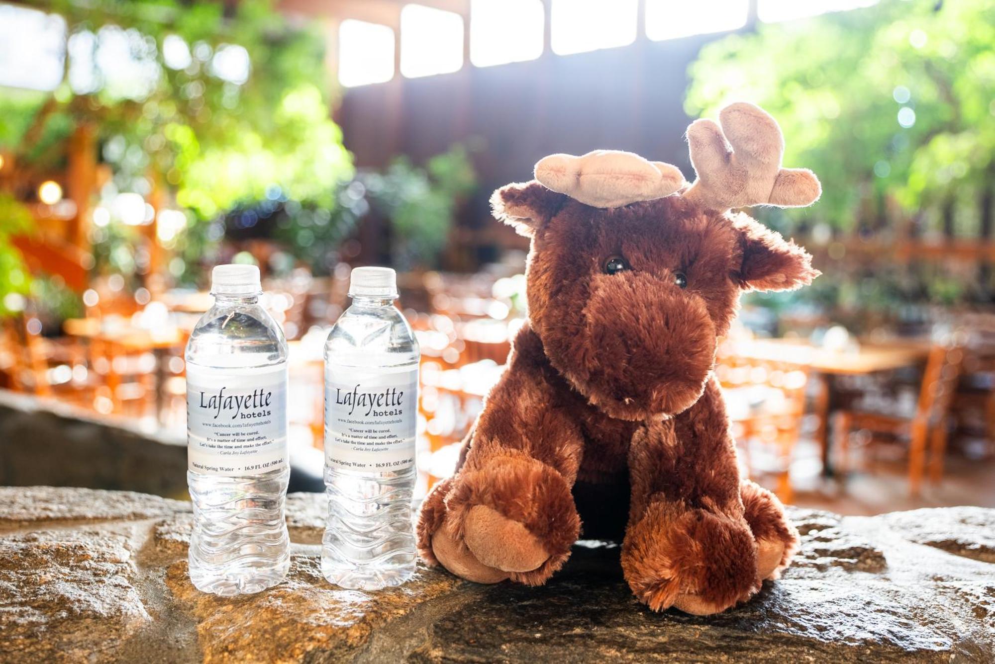 Fireside Inn & Suites West לבנון מראה חיצוני תמונה